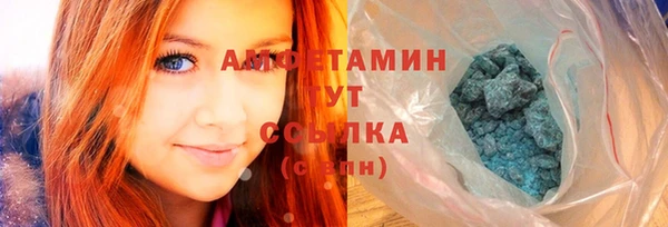 шишки Верхний Тагил