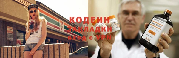 шишки Верхний Тагил