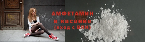 шишки Верхний Тагил