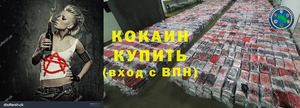 шишки Верхний Тагил