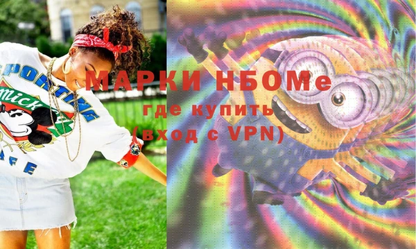 шишки Верхний Тагил
