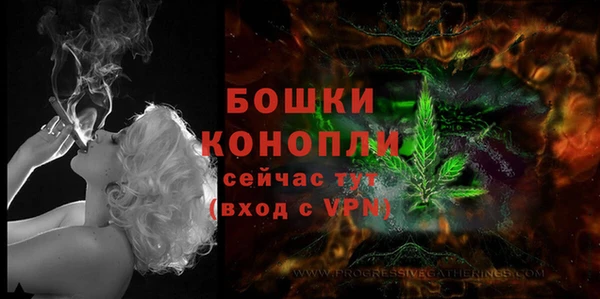 шишки Верхний Тагил
