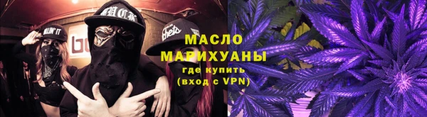 шишки Верхний Тагил